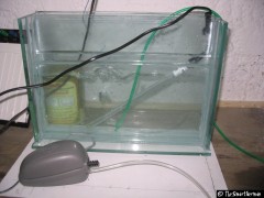 Küvette befüllt mit Heizung