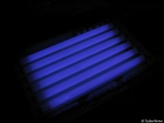 alle Röhren in Betrieb...