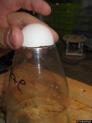 Flaschenhals mit Tennisballhälfte